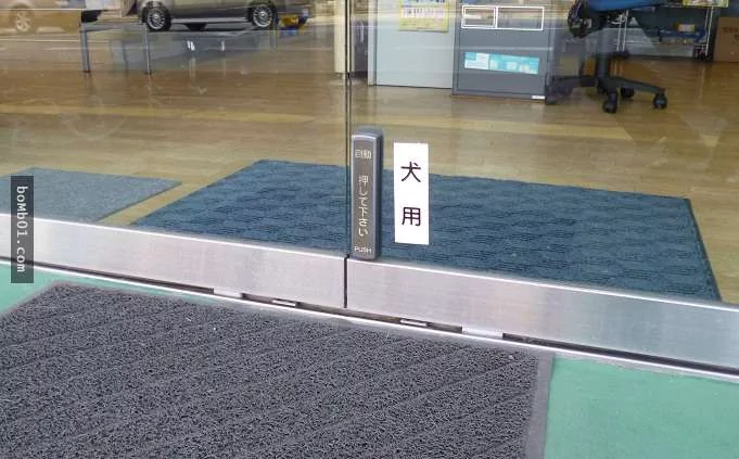 这家店安装了一个“犬用”按键 客人走到门口 店家的萌犬会跑过来开门!