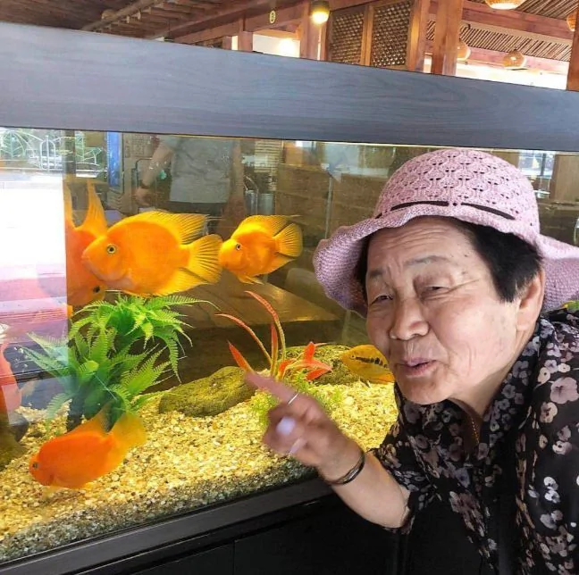 她在网上直播火了 拍下日常引来千万人围观:这就是我想要的生活!