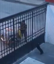 正在减肥的狗狗越来越胖 主人后来发现竟然有人给它送下午茶!