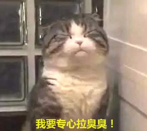 一只有些上火的猫咪 看它如厕时的表情 原谅我笑出了声!