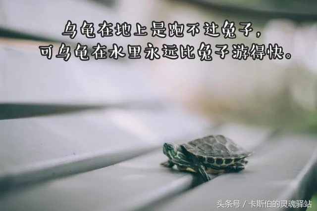 7个风骚又寓意深刻的小故事!