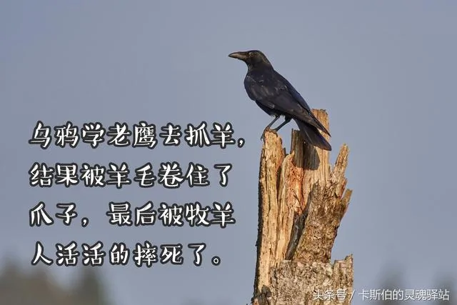7个风骚又寓意深刻的小故事!