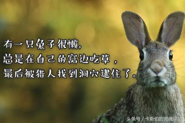 7个风骚又寓意深刻的小故事!