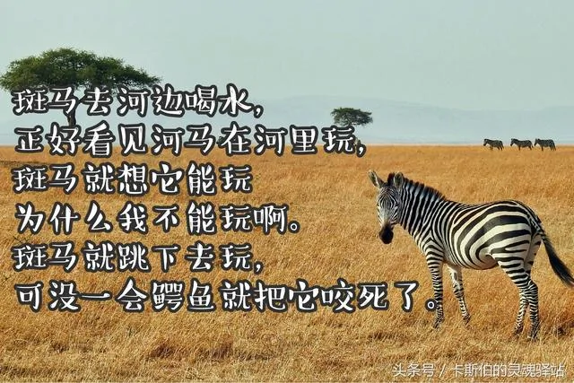 7个风骚又寓意深刻的小故事!