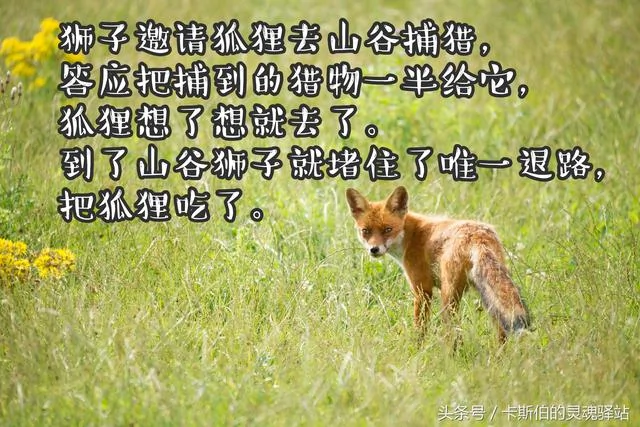 7个风骚又寓意深刻的小故事!