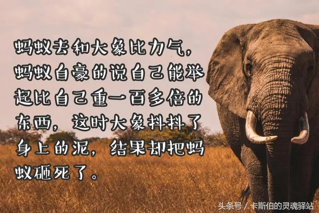 7个风骚又寓意深刻的小故事!