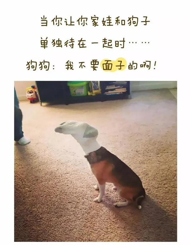 有一种绝望叫做:当你一眼没看住娃!不当爹妈不会懂的