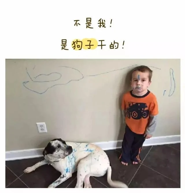 有一种绝望叫做:当你一眼没看住娃!不当爹妈不会懂的