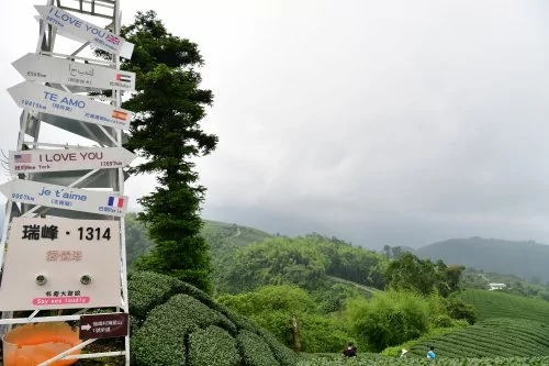 阿里山1314观景台 传达一生一世的爱恋