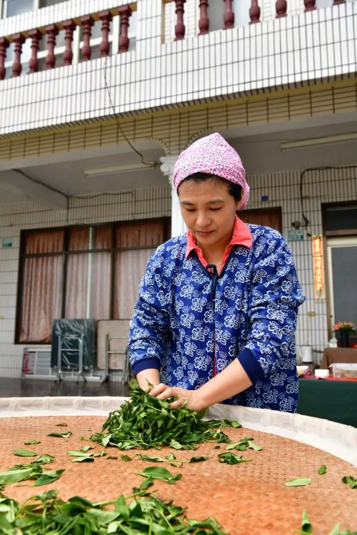 阿里山1314观景台 传达一生一世的爱恋