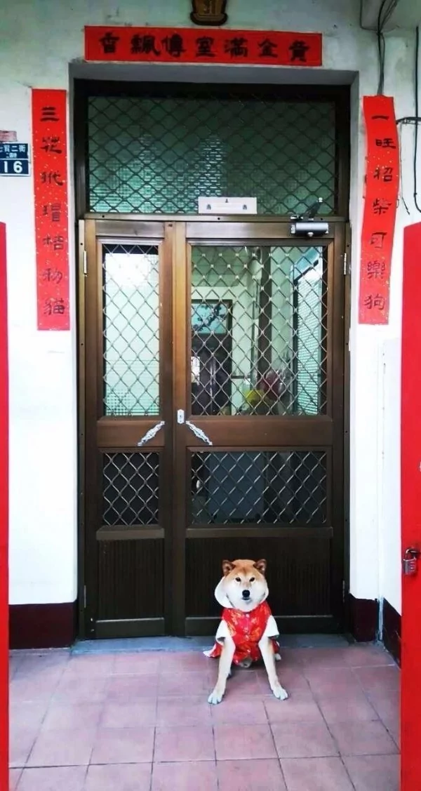 史上“最贪心对联”曝光 超狂让爷爷都摇头