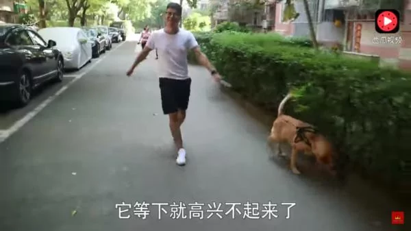 狗狗怕打针,到了门口竟耍赖不肯进去!主人硬拉笑翻网友:根本戏精!