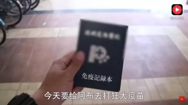 狗狗怕打针,到了门口竟耍赖不肯进去!主人硬拉笑翻网友:根本戏精!