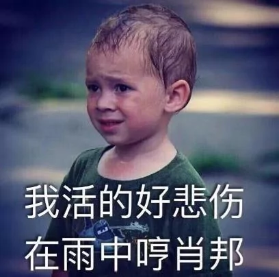 主人自制遛狗车 小土狗乖巧蹲坐着 但表情超委屈!
