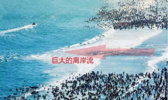 双胞胎姐妹青岛溺亡 在海边看到这个赶快逃