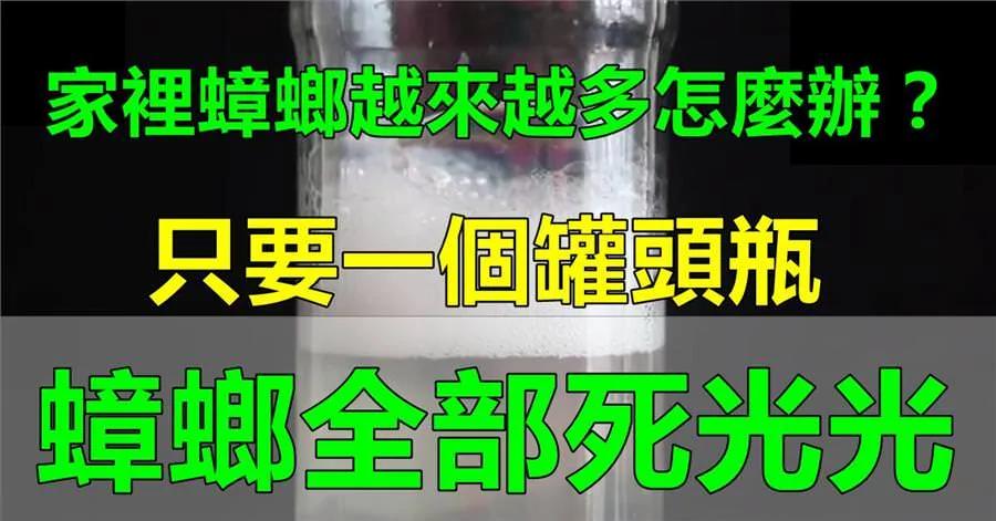 家里的蟑螂越来越多怎么办?只要一个罐头瓶 蟑螂全部死光光