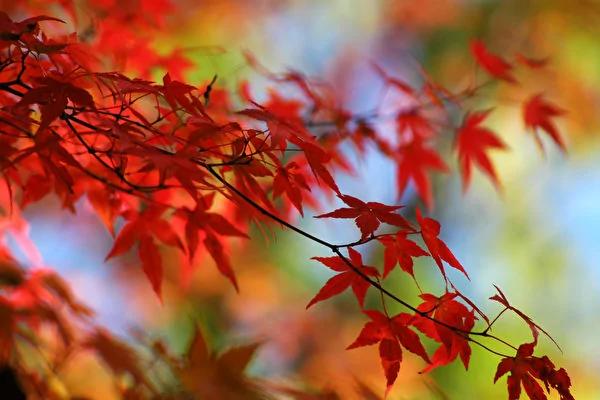 【节气典故】立秋食俗古人的养生智慧
