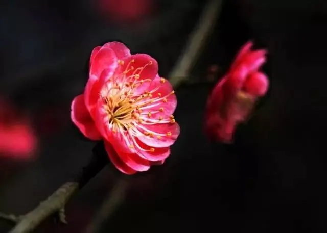 重感情的人 都有这种习惯!