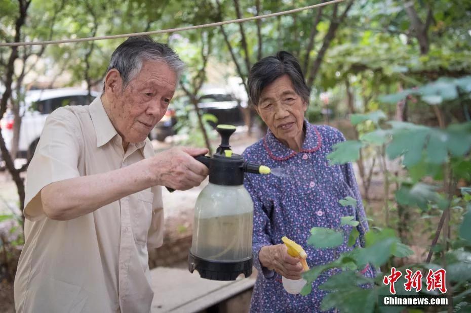 九旬夫妻抗战结婚无手续 渴望一张结婚证!