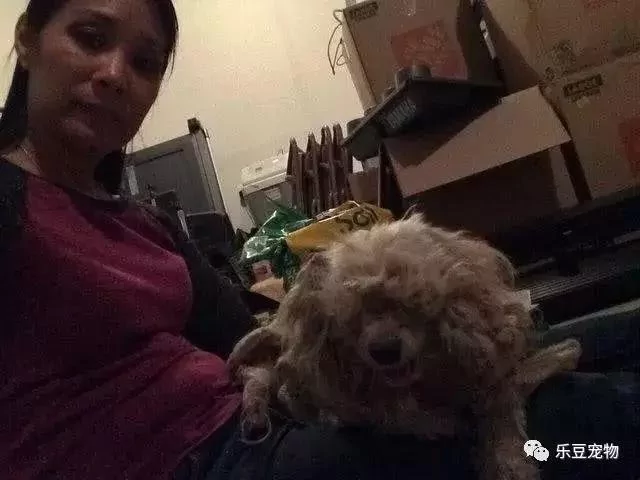 流浪狗讨食 没人愿给 带回家后才知颜值这么高!