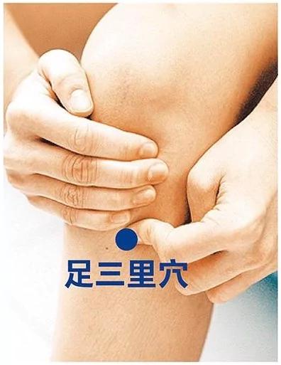 就是它们击溃你的肠胃!