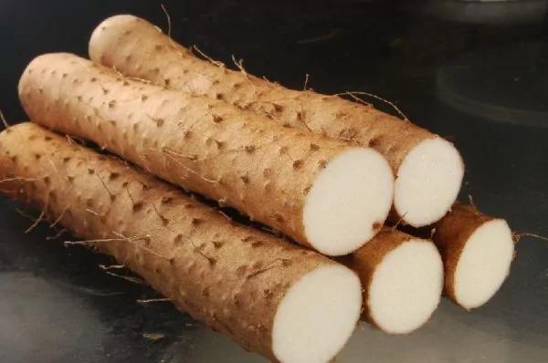 健脾补气 中医推这款药膳排骨粥 这才叫药膳食疗