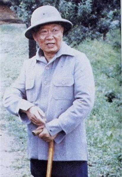 反攻大陆只唱不做?你不知道的悲壮历史