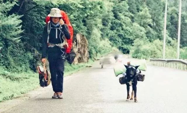 年迈狗狗陪20岁主人去西藏 主人推着小车 狗狗:一路一起走!