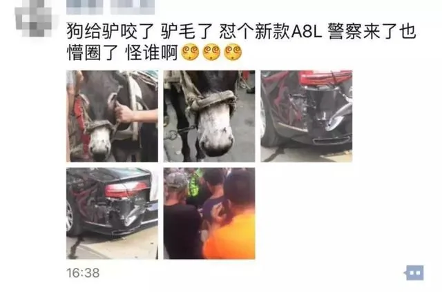 狗把驴咬了 驴受惊尥蹶子了 踢坏百万奥迪 警察也蒙了