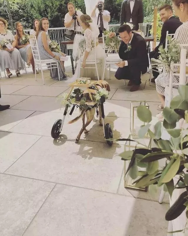 世界不完美 善意是最好的体面…