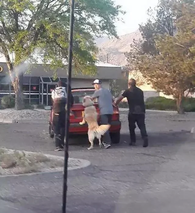世界不完美 善意是最好的体面…