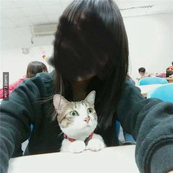 猫奴带着猫咪去上课 它的表现让老师都超意外!