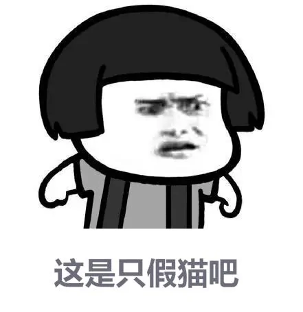 小奶猫睁着眼睛一动不动躺着 主人吓坏了 凑近一看笑了
