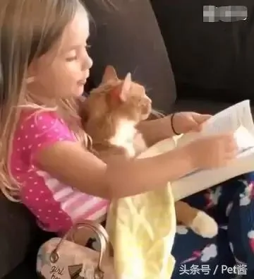 萌娃给小橘猫讲故事 猫咪困到不行还硬撑:啥时候讲完啊!