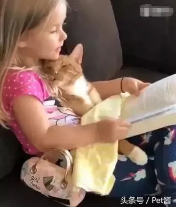 萌娃给小橘猫讲故事 猫咪困到不行还硬撑:啥时候讲完啊!
