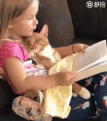 萌娃给小橘猫讲故事 猫咪困到不行还硬撑:啥时候讲完啊!