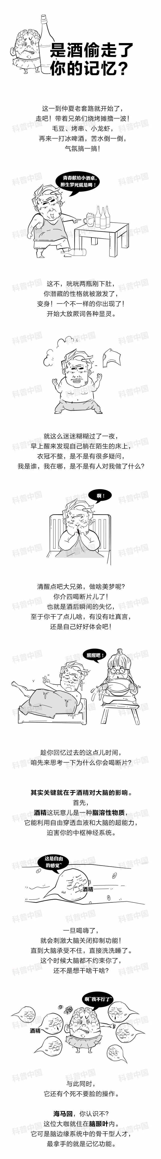 为什么酒喝多了会“断片儿”?到底是谁偷走了你的记忆?
