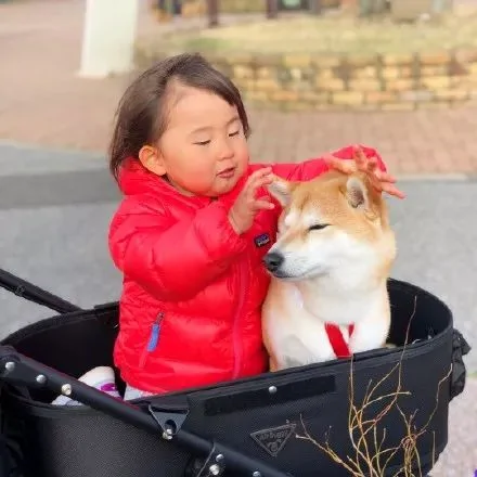 热帖:你过来 我想和你睡个觉 心都被暖化了