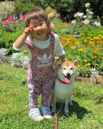 热帖:你过来 我想和你睡个觉 心都被暖化了