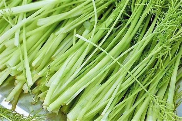 秋天一来 赶紧种这3种蔬菜 冬天的时候就能边吃边摘!