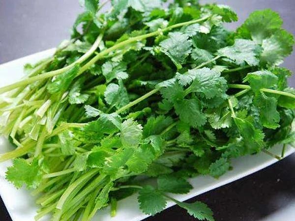 秋天一来 赶紧种这3种蔬菜 冬天的时候就能边吃边摘!