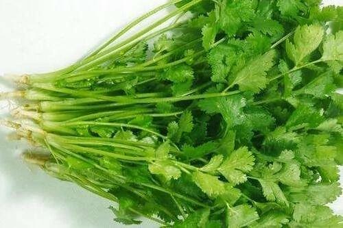 秋天一来 赶紧种这3种蔬菜 冬天的时候就能边吃边摘!