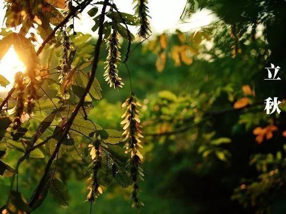 “一夏无病三分虚” 秋季养生三步走