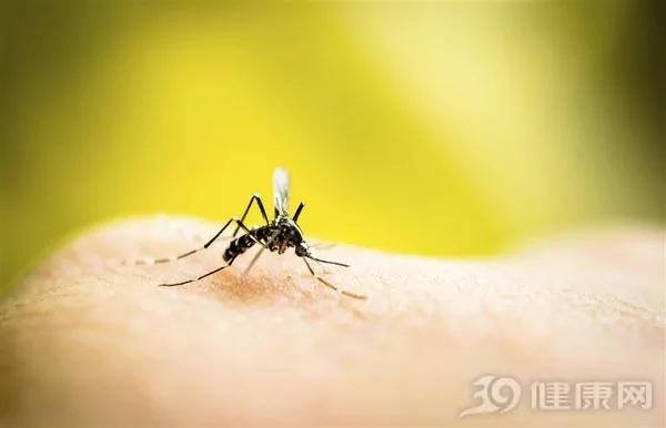 招虫体质必看:十问“如何消灭蚊子包”!