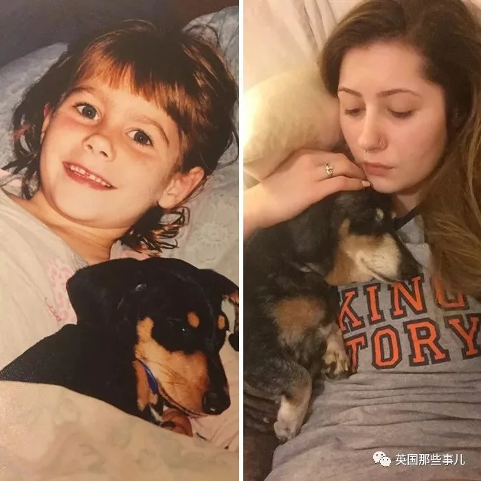 和狗狗的第一张照片vs最后一张照片…可以暖很久