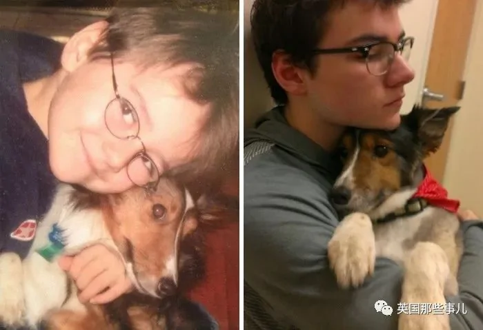 和狗狗的第一张照片vs最后一张照片…可以暖很久