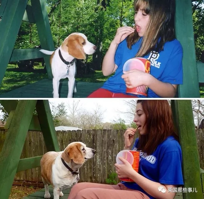 和狗狗的第一张照片vs最后一张照片…可以暖很久