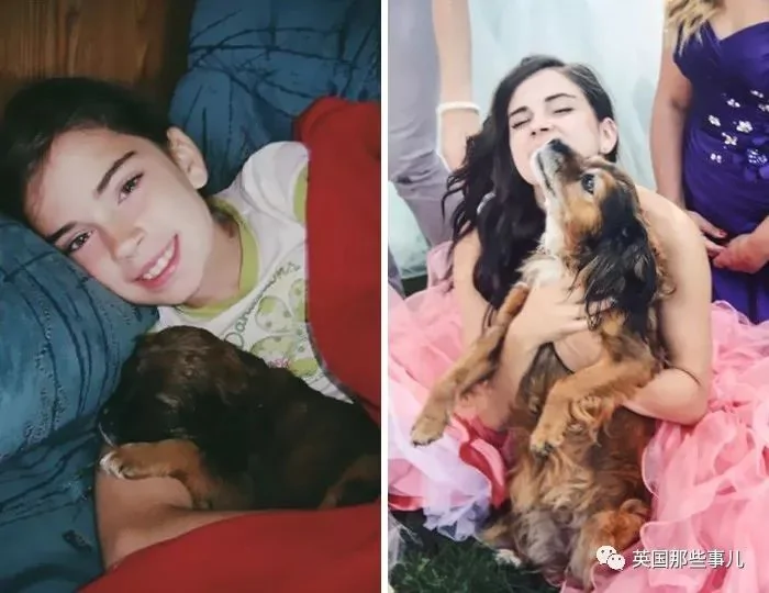 和狗狗的第一张照片vs最后一张照片…可以暖很久