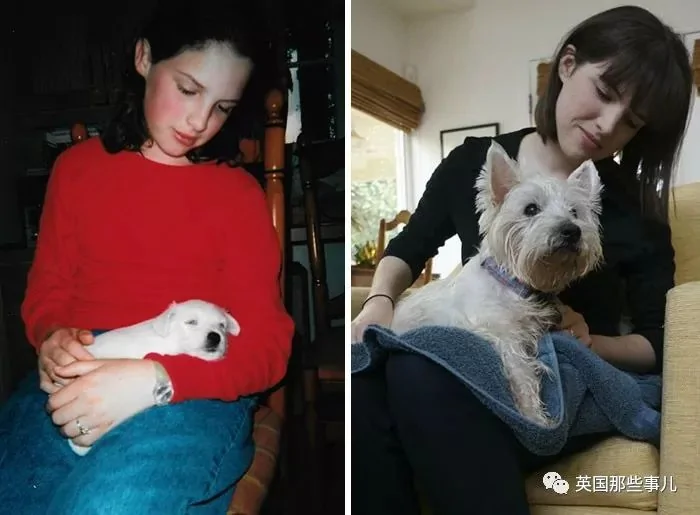 和狗狗的第一张照片vs最后一张照片…可以暖很久