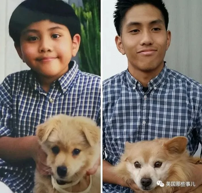 和狗狗的第一张照片vs最后一张照片…可以暖很久